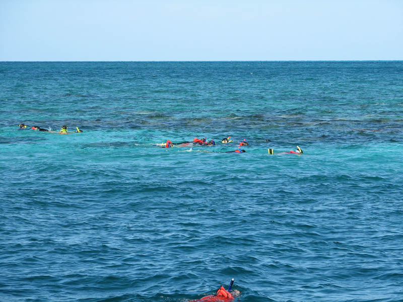 snorkel1