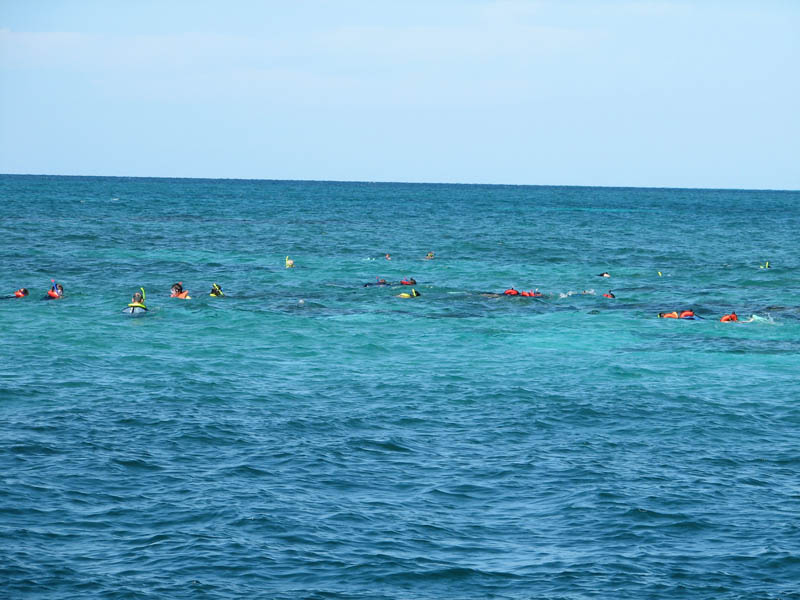 snorkel3